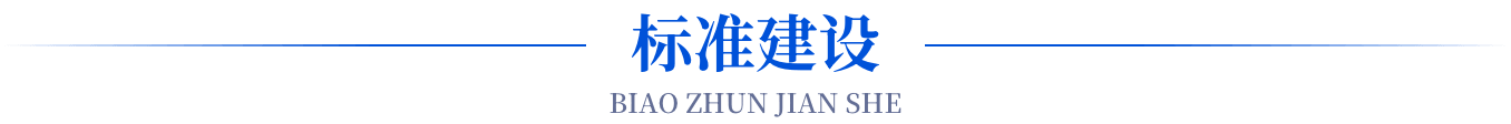 标准建设